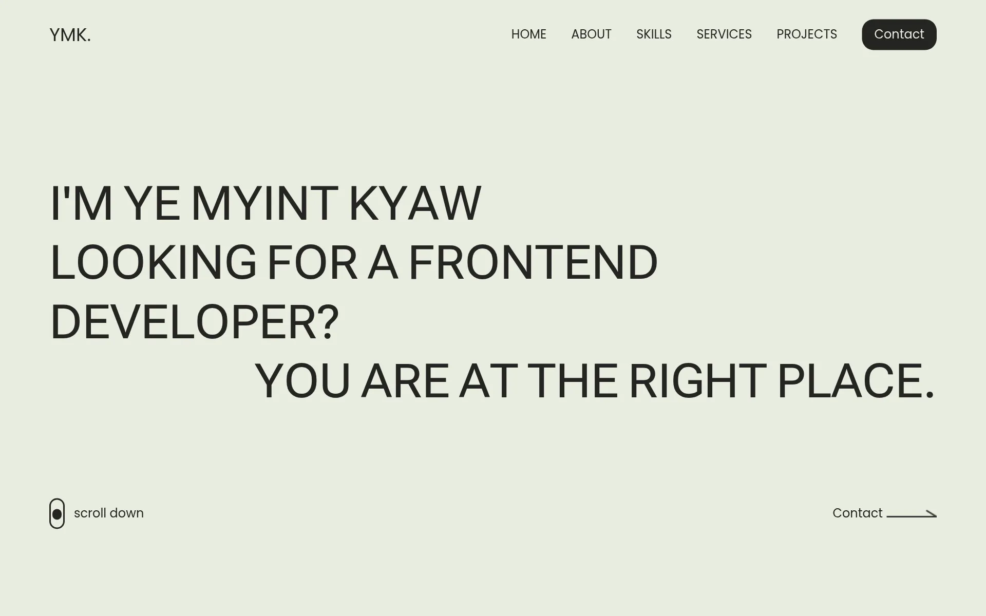 Screenshot of the Previous Portfolio website
